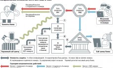 Интернет-пользователи проиграли в лотерею